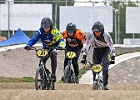 921H8228 bmx-tc-12-9-21